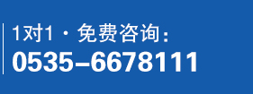 免费咨询：0535-6678111