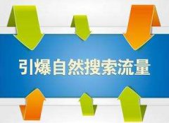 如何进行高权重上架