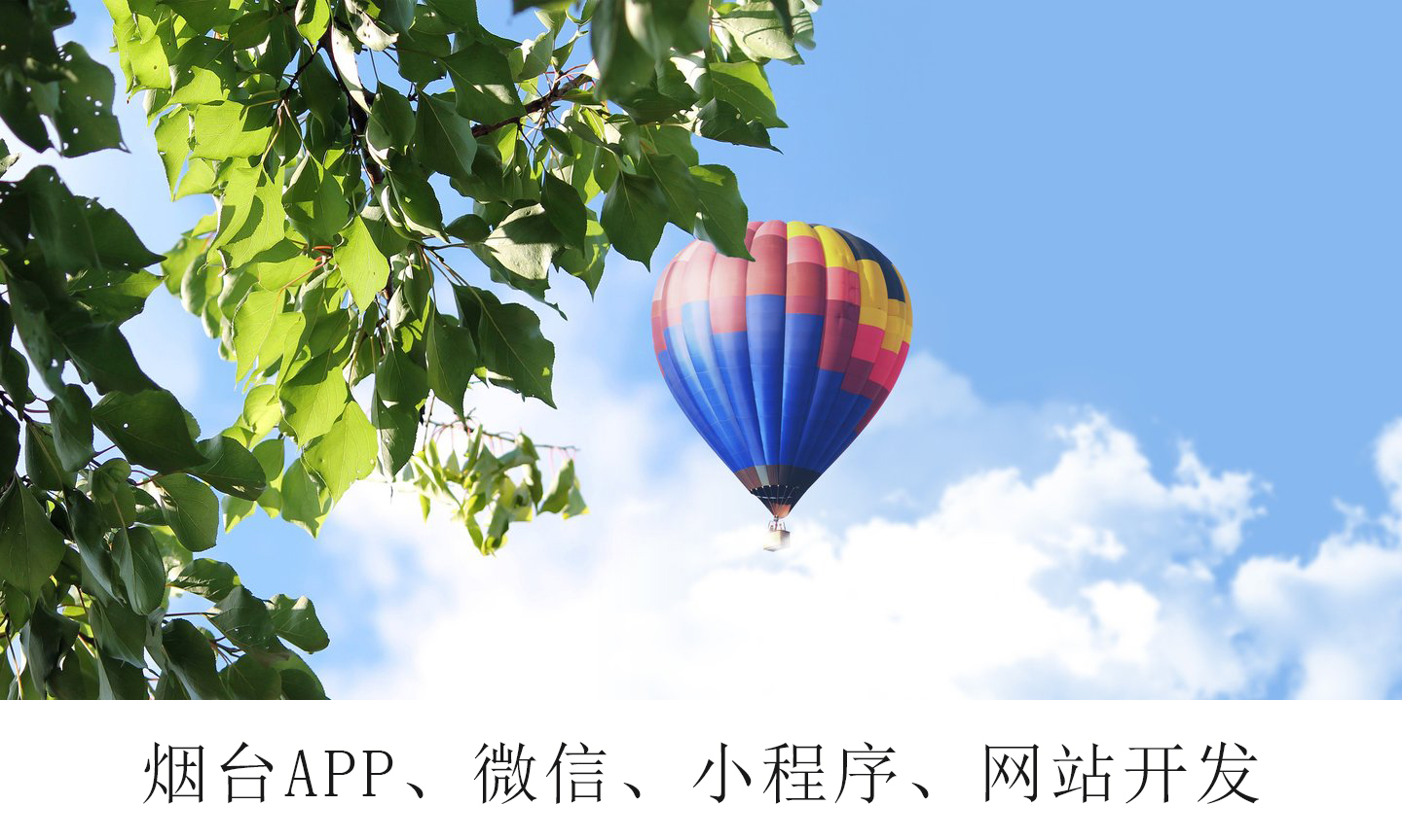 烟台网站开发：网站建设后如何吸引蜘蛛爬行抓