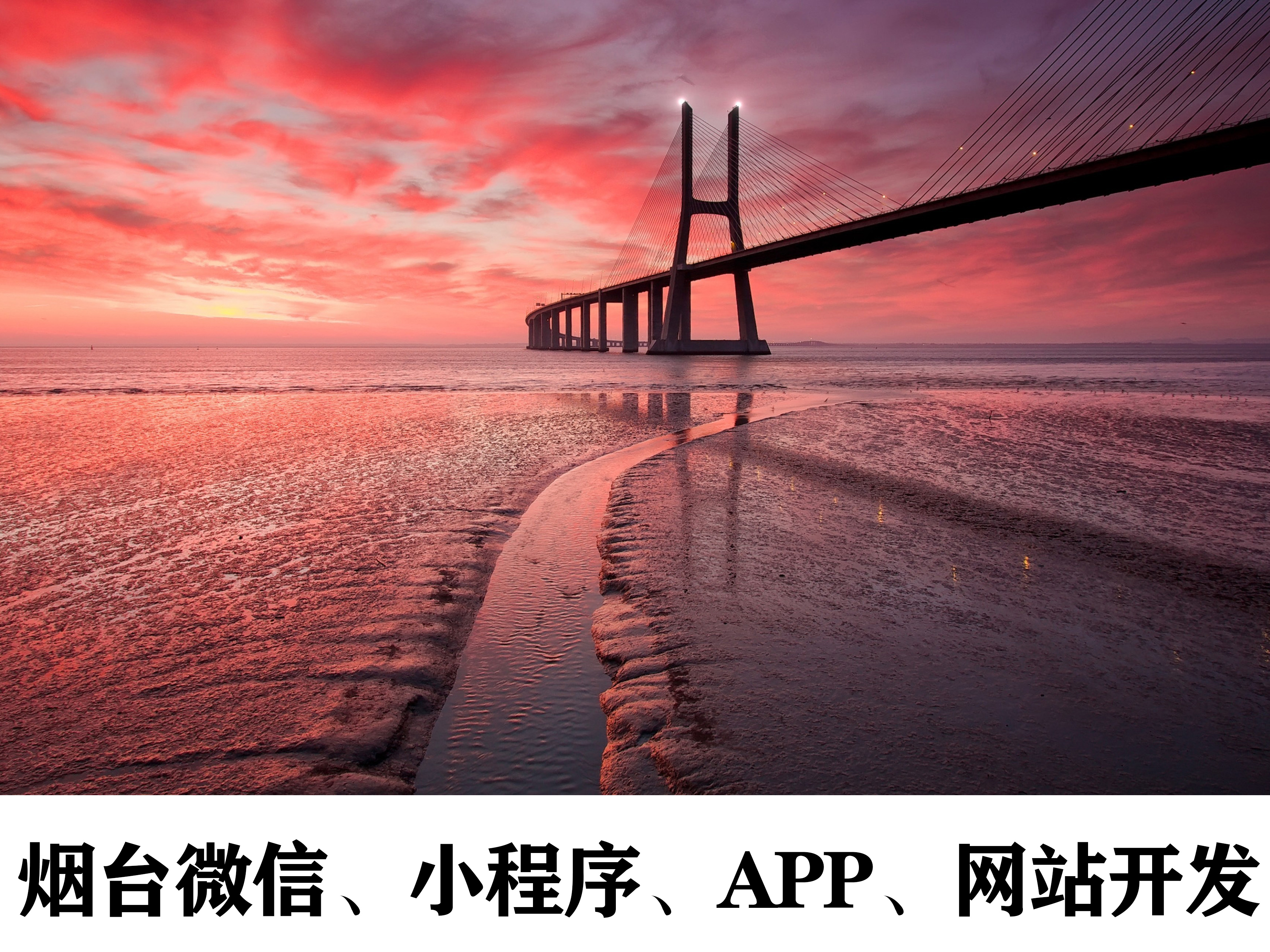 烟台网站开发：如何注册政府域名